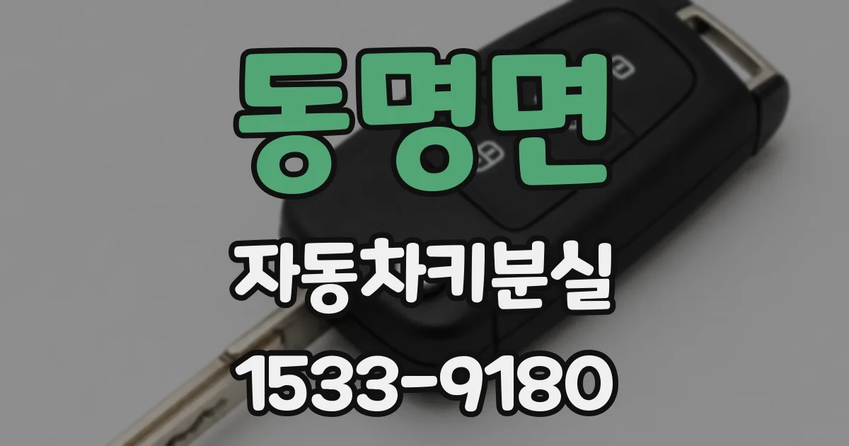 동명면 자동차키분실