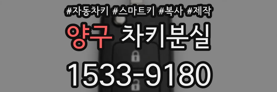 양구 차키분실