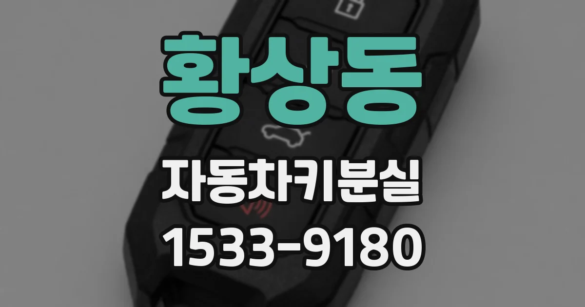 황상동 자동차키분실