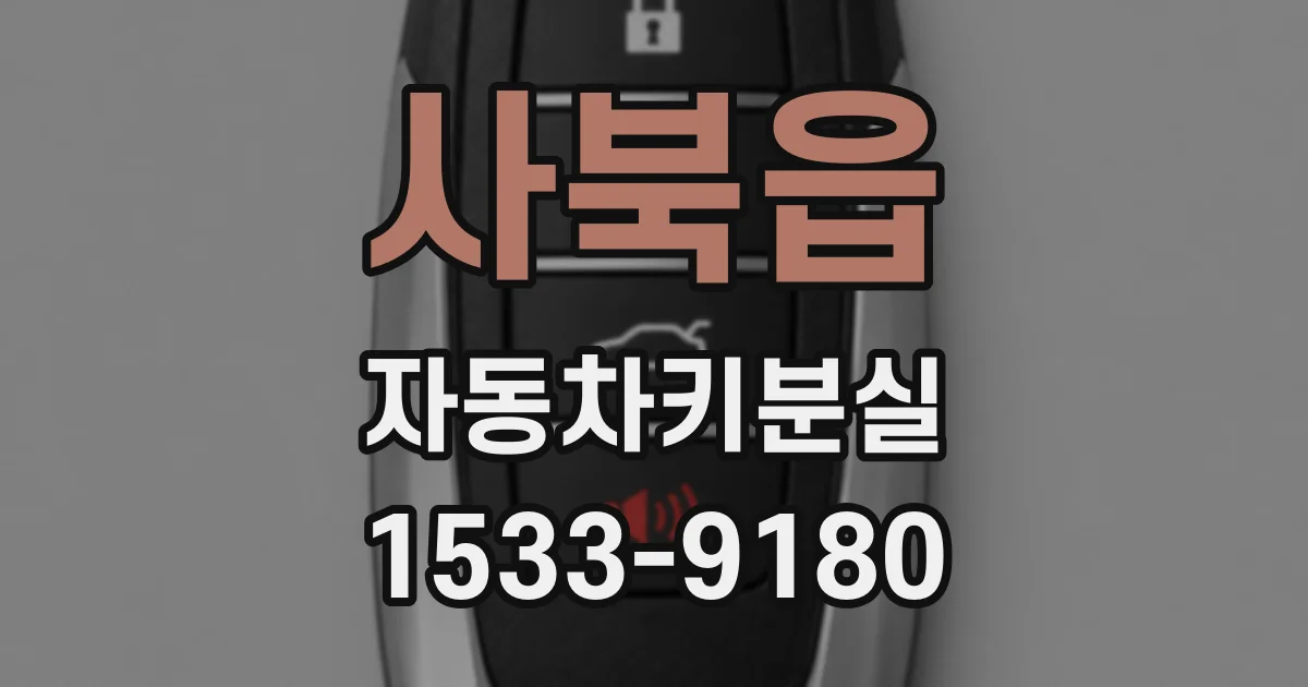 사북읍 자동차키분실