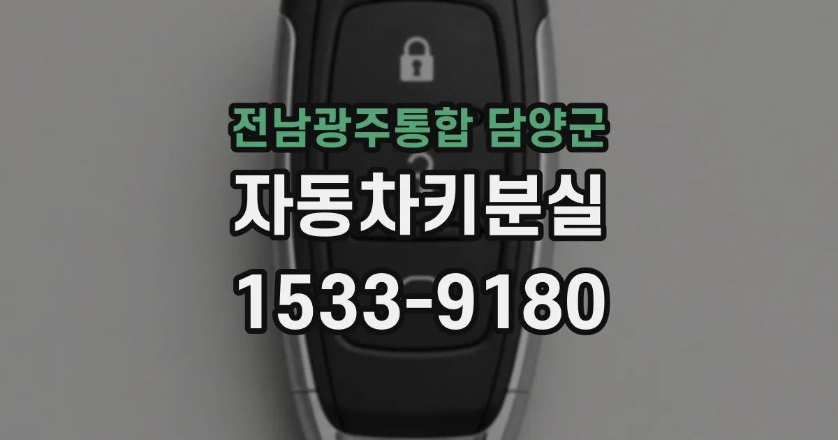 전남광주통합 담양군 자동차키분실