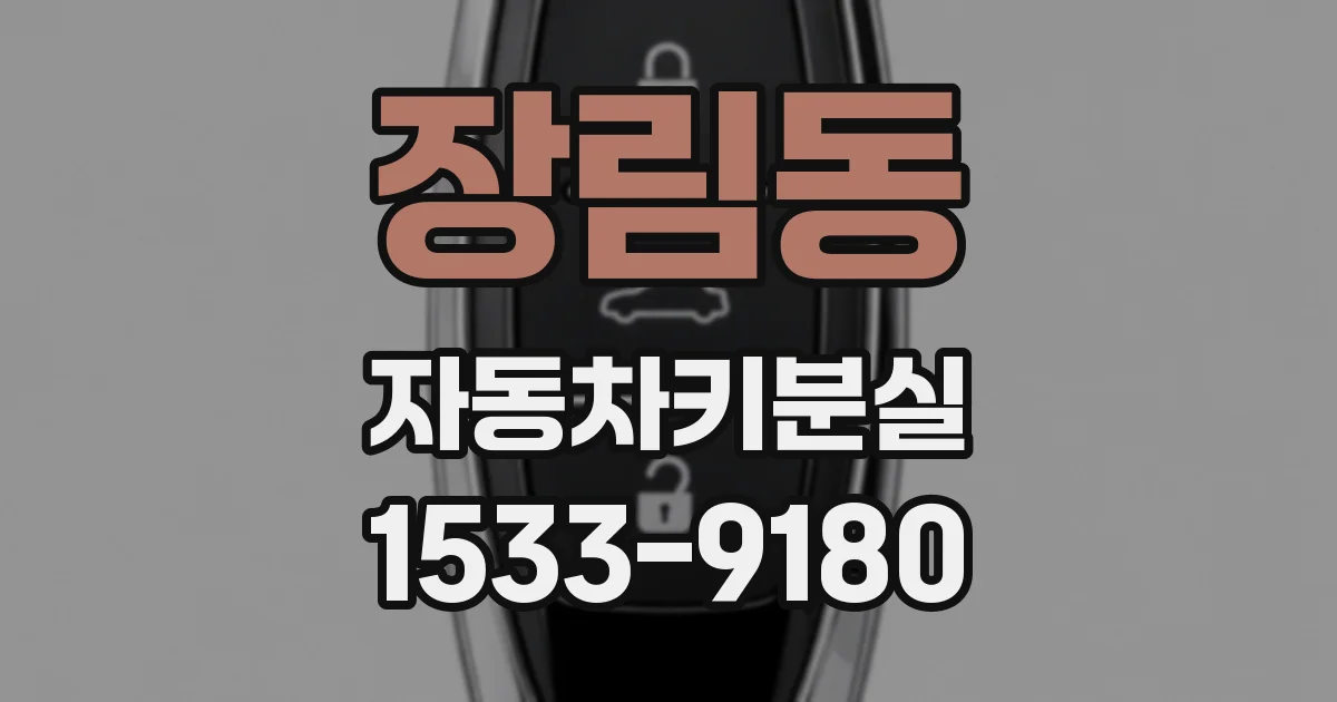 장림동 자동차키분실