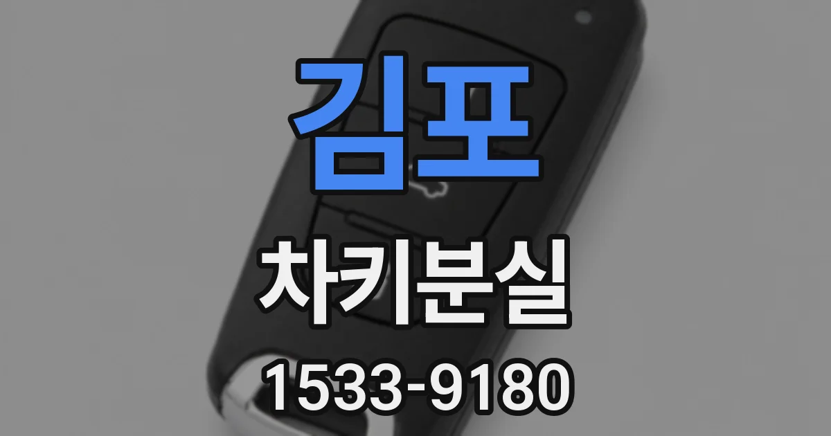 김포 차키분실