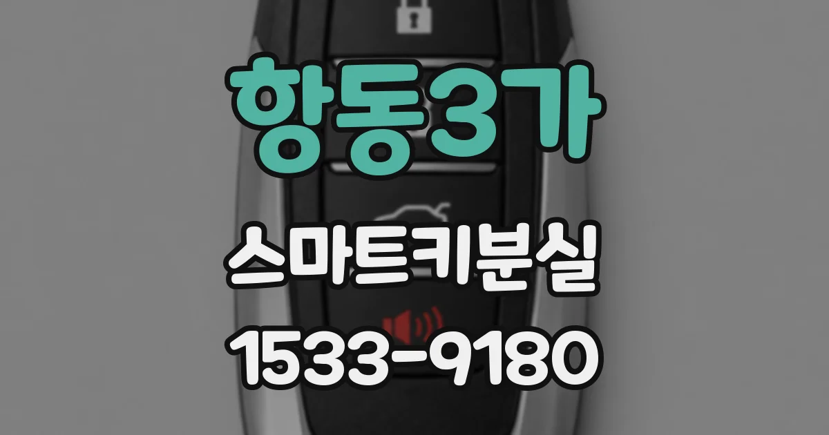 항동3가 스마트키분실