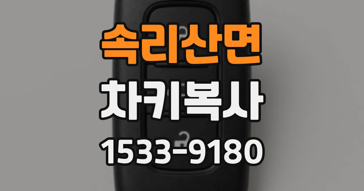 속리산면 차키복사