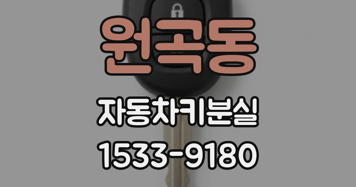 원곡동 자동차키분실