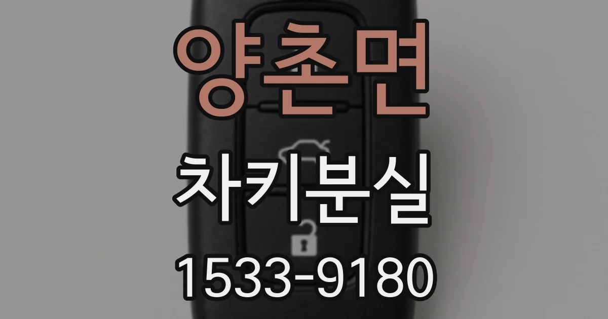 양촌면 차키분실