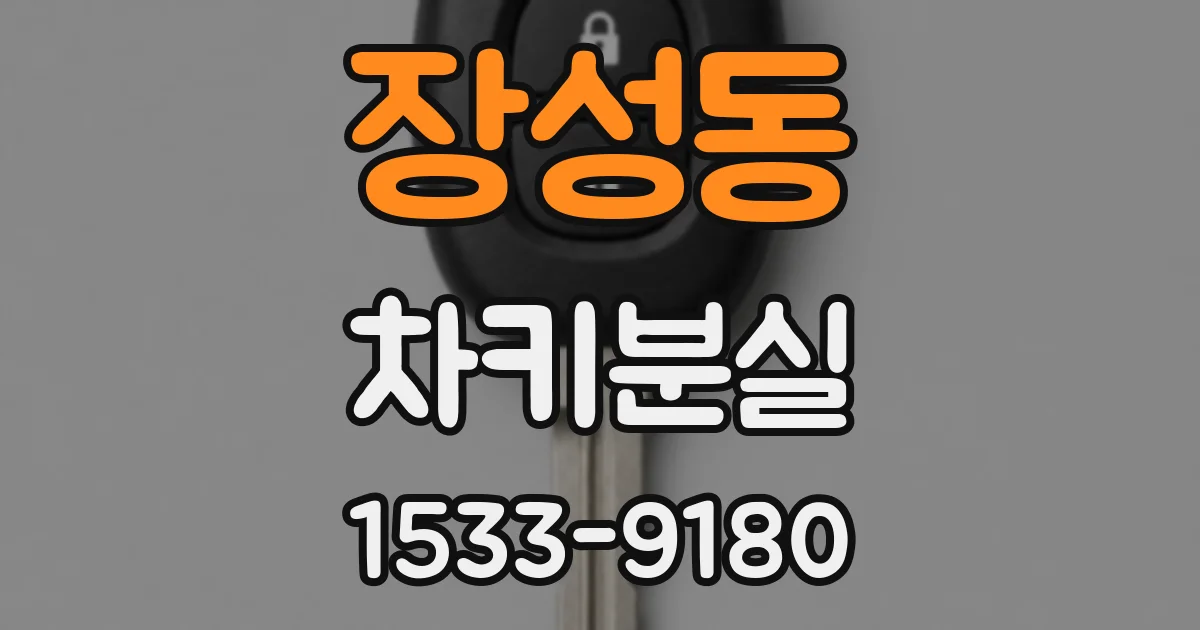 장성동 차키분실