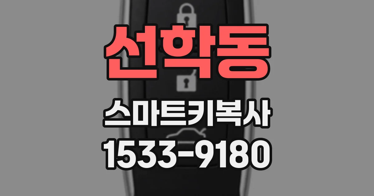 선학동 스마트키복사