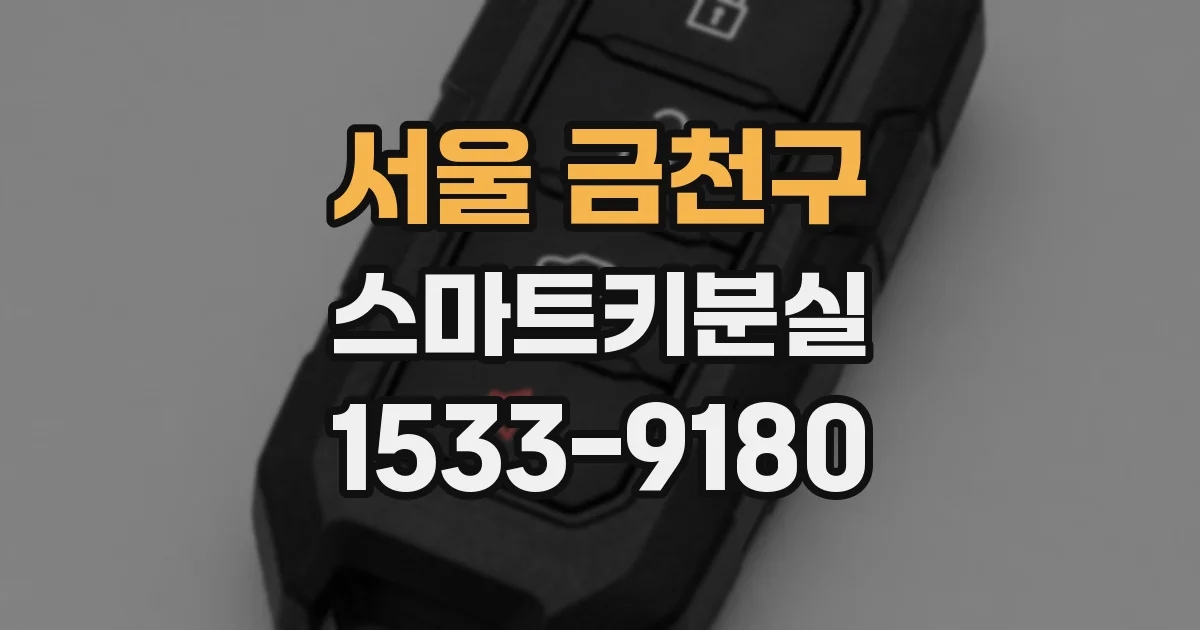 서울 금천구 스마트키분실