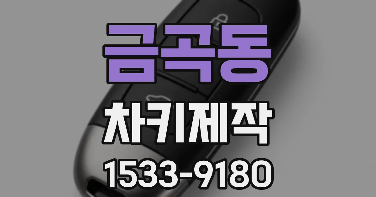 금곡동 차키제작