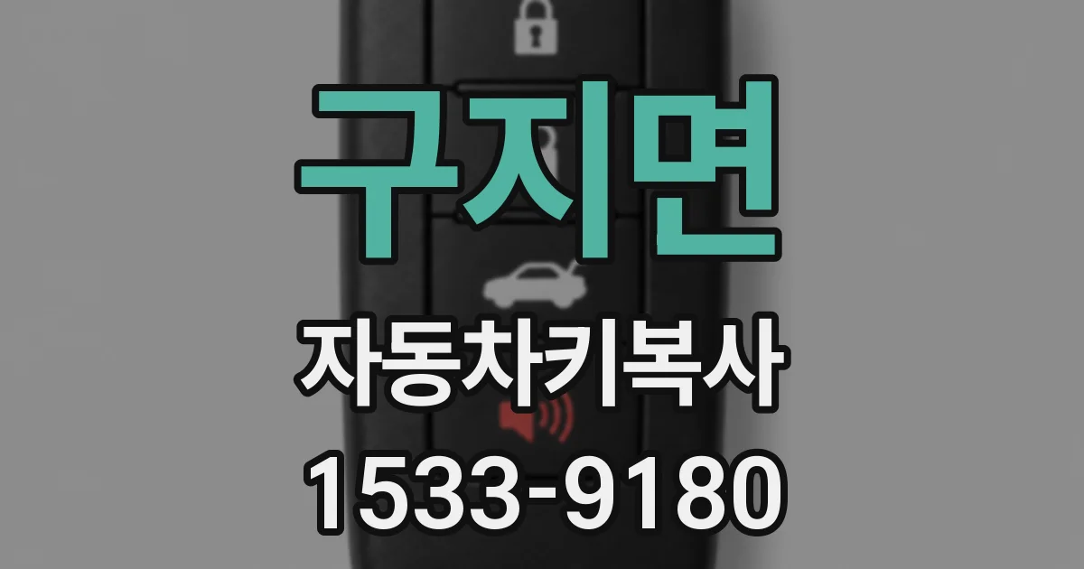 구지면 자동차키복사