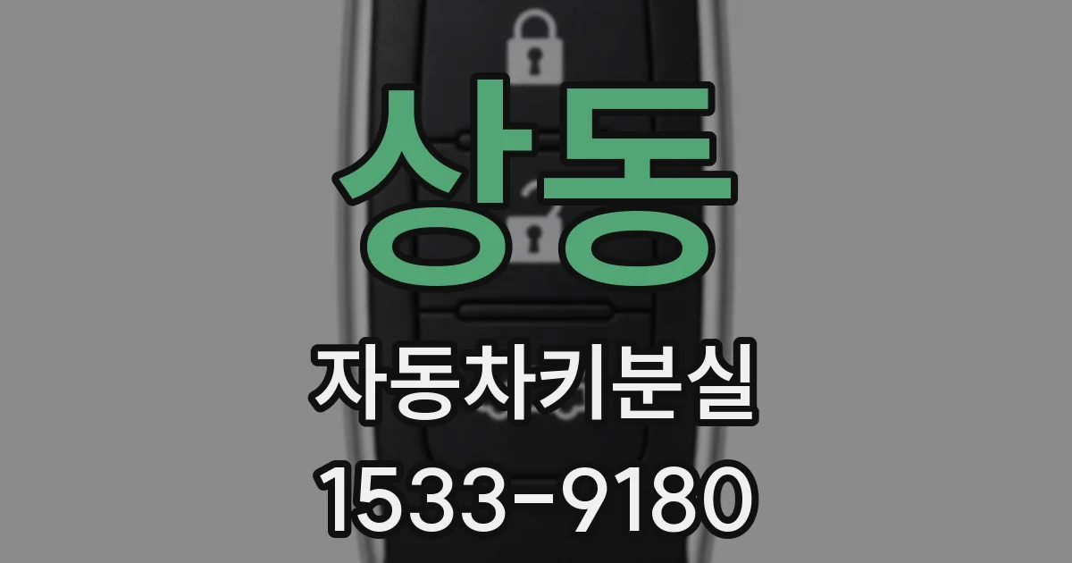 상동 자동차키분실