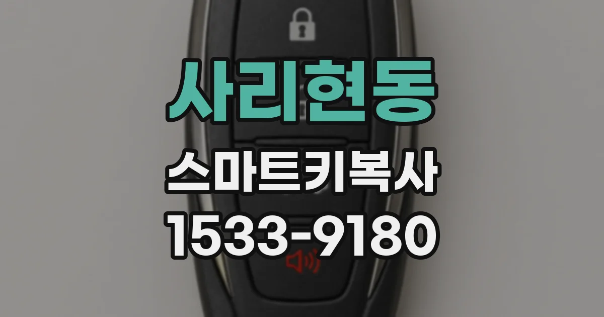 사리현동 스마트키복사