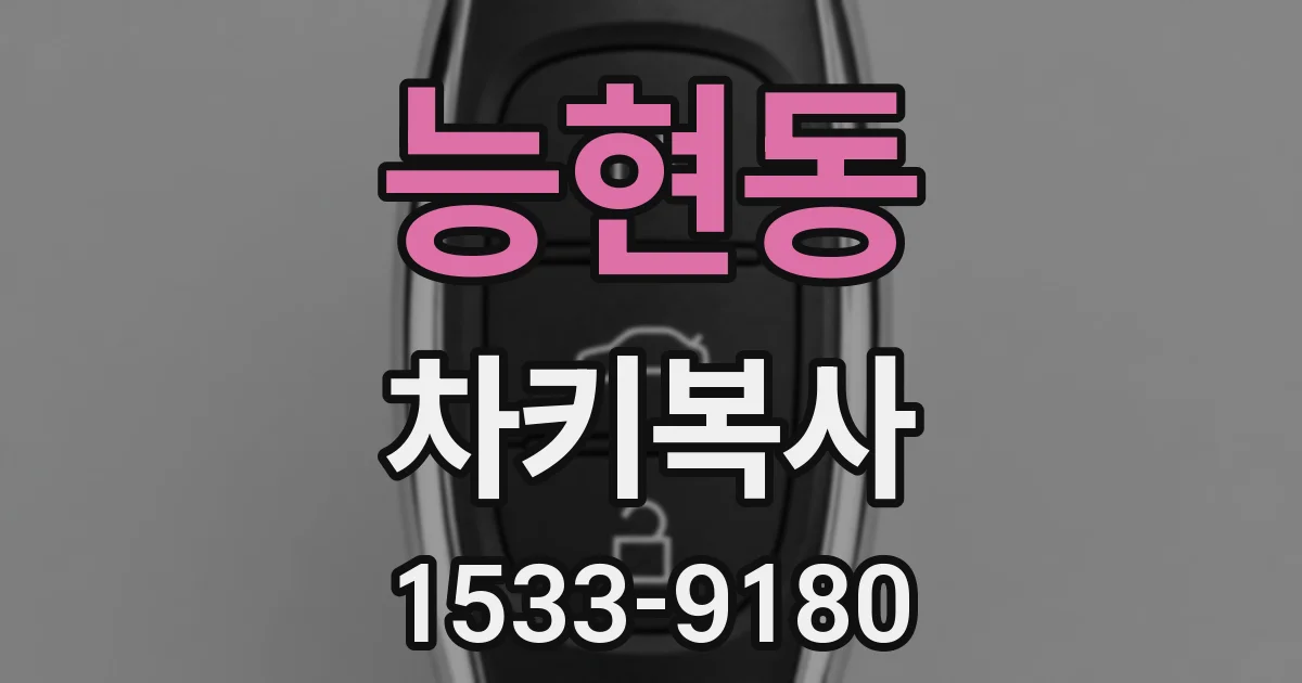 능현동 차키복사