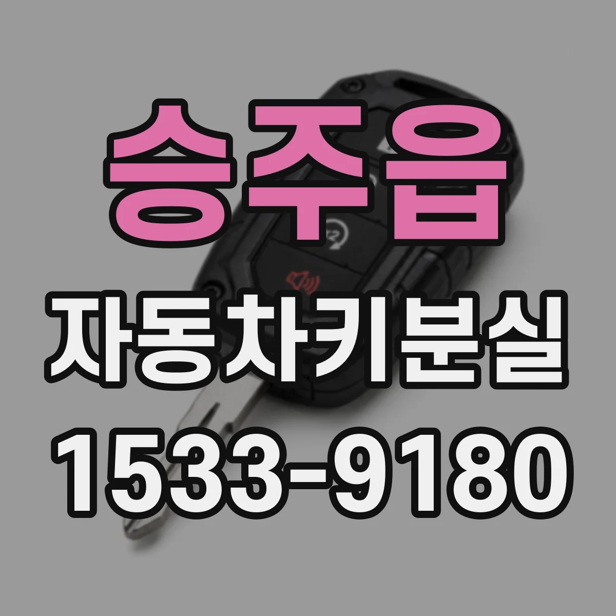 승주읍 자동차키분실
