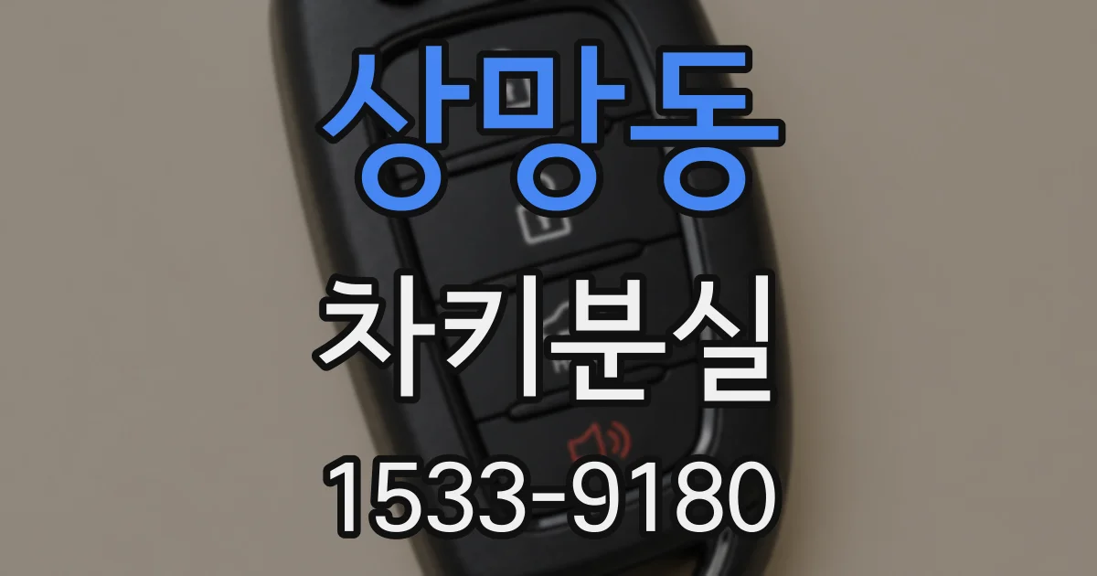 상망동 차키분실
