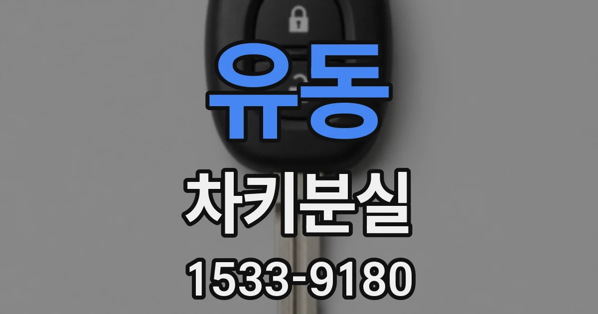 유동 차키분실
