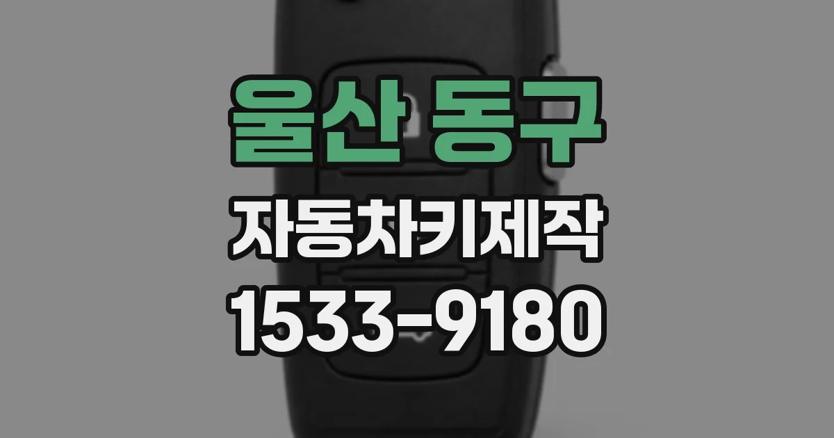 울산 동구 자동차키제작