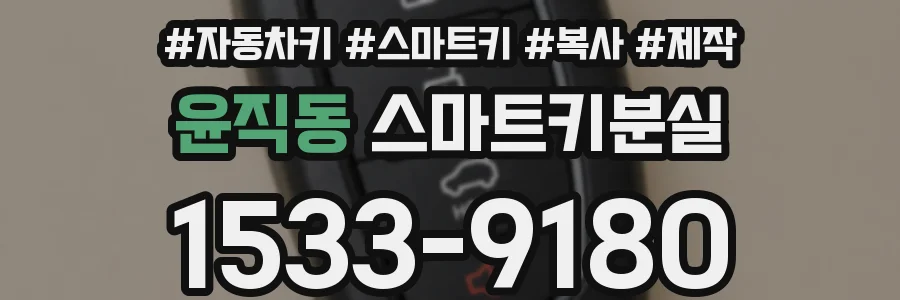 윤직동 스마트키분실