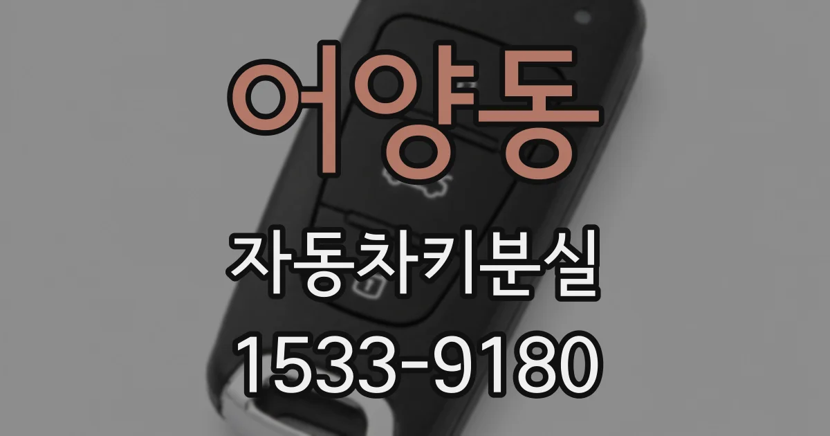 어양동 자동차키분실