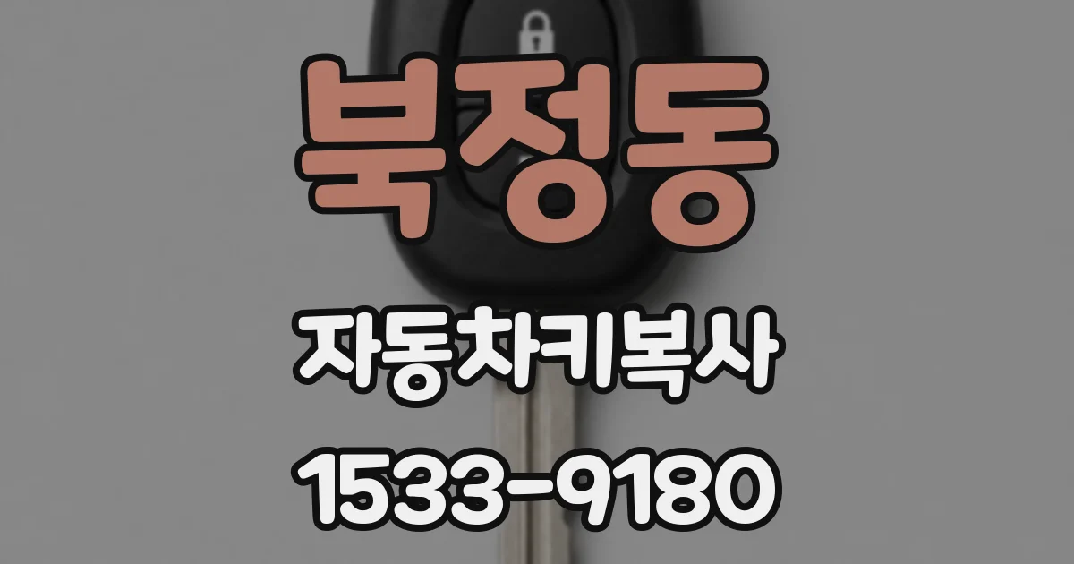 북정동 자동차키복사