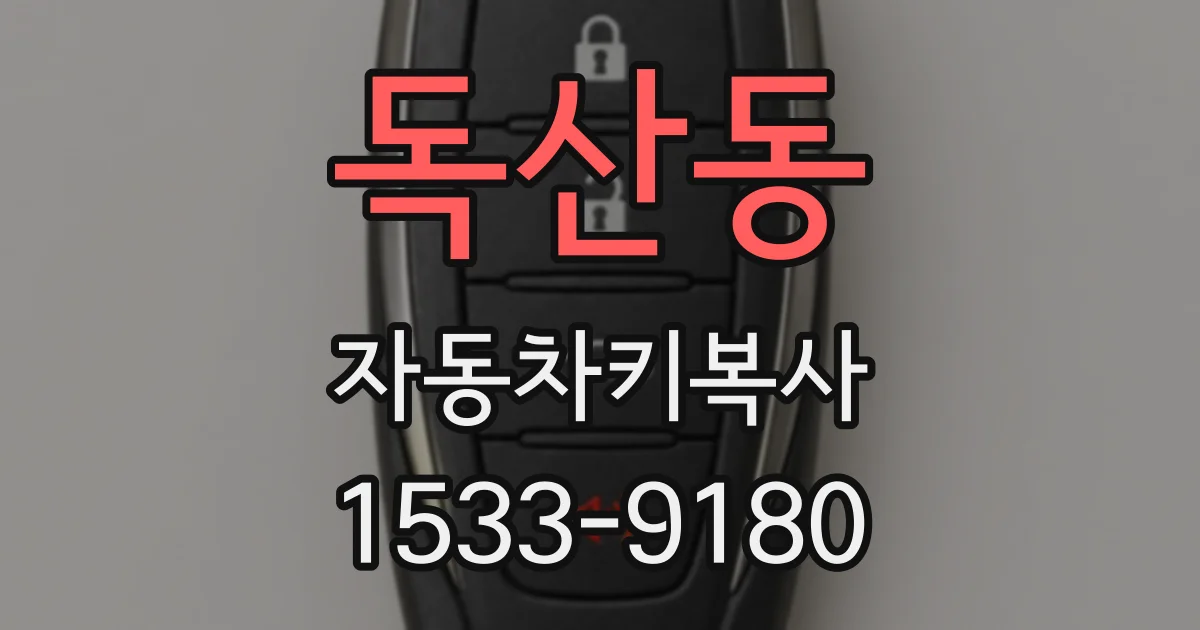 독산동 자동차키복사