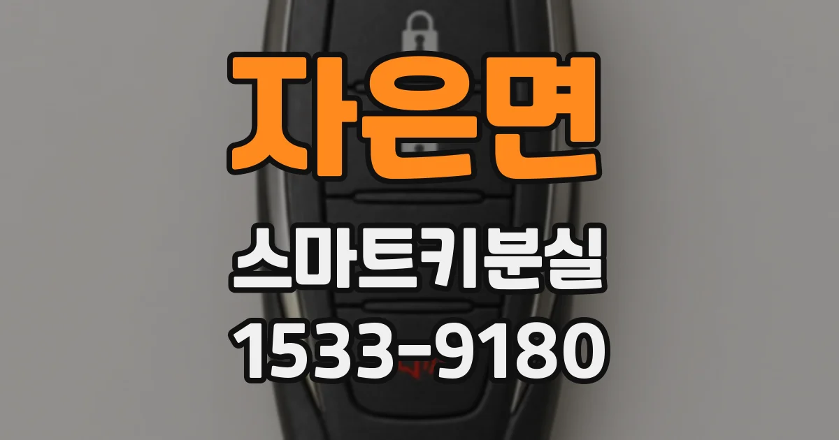 자은면 스마트키분실