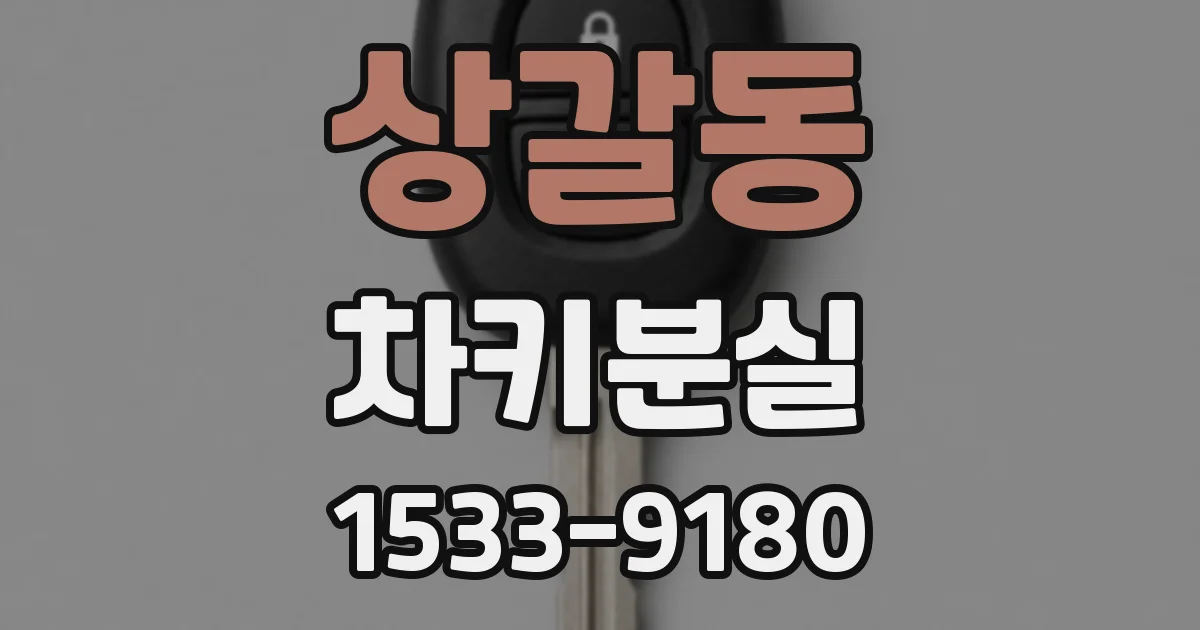 상갈동 차키분실