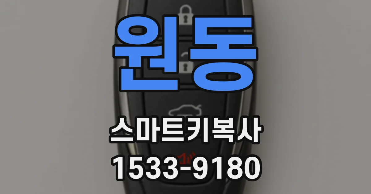 원동 스마트키복사