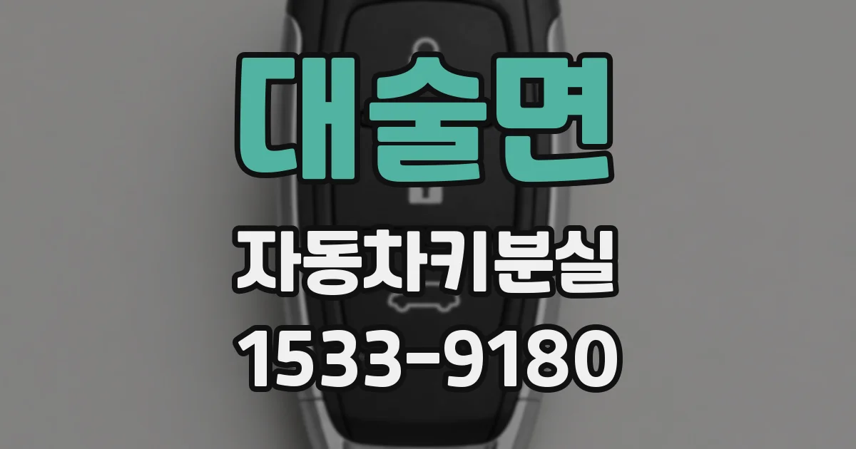 대술면 자동차키분실