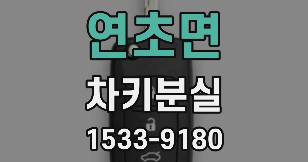 연초면 차키분실