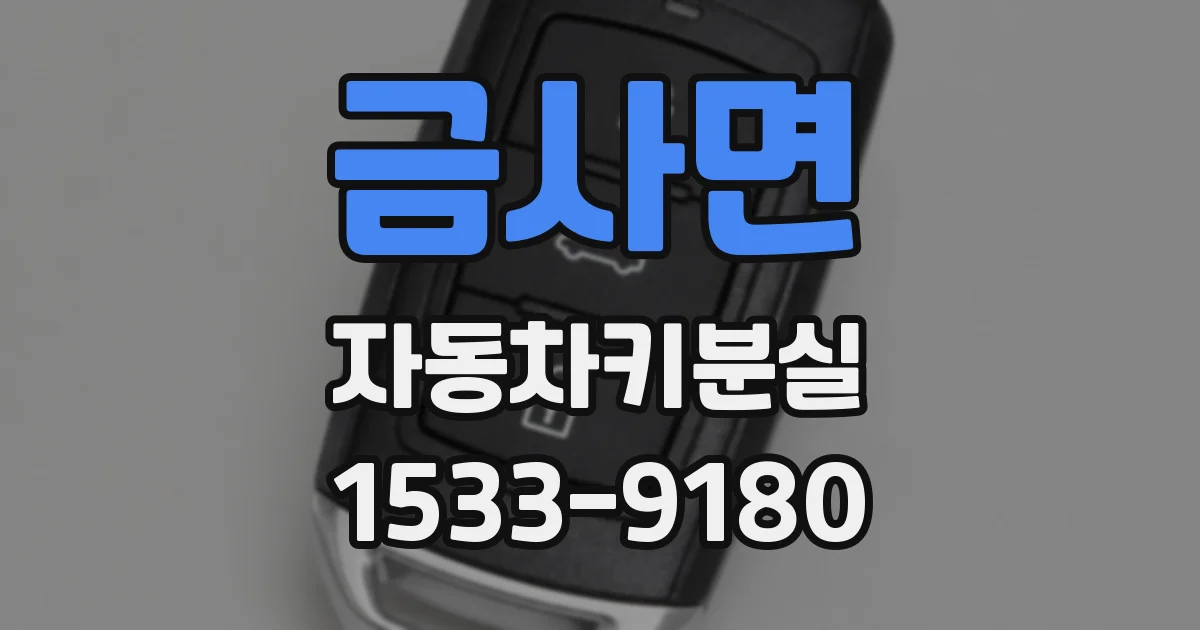 금사면 자동차키분실