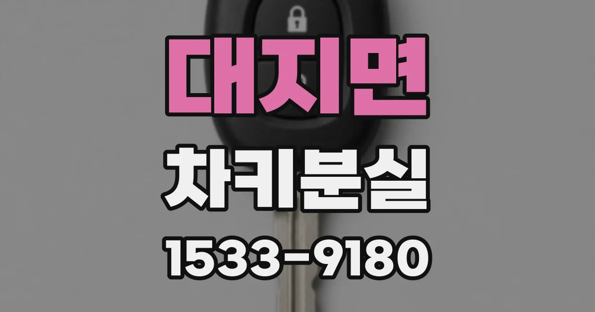 대지면 차키분실