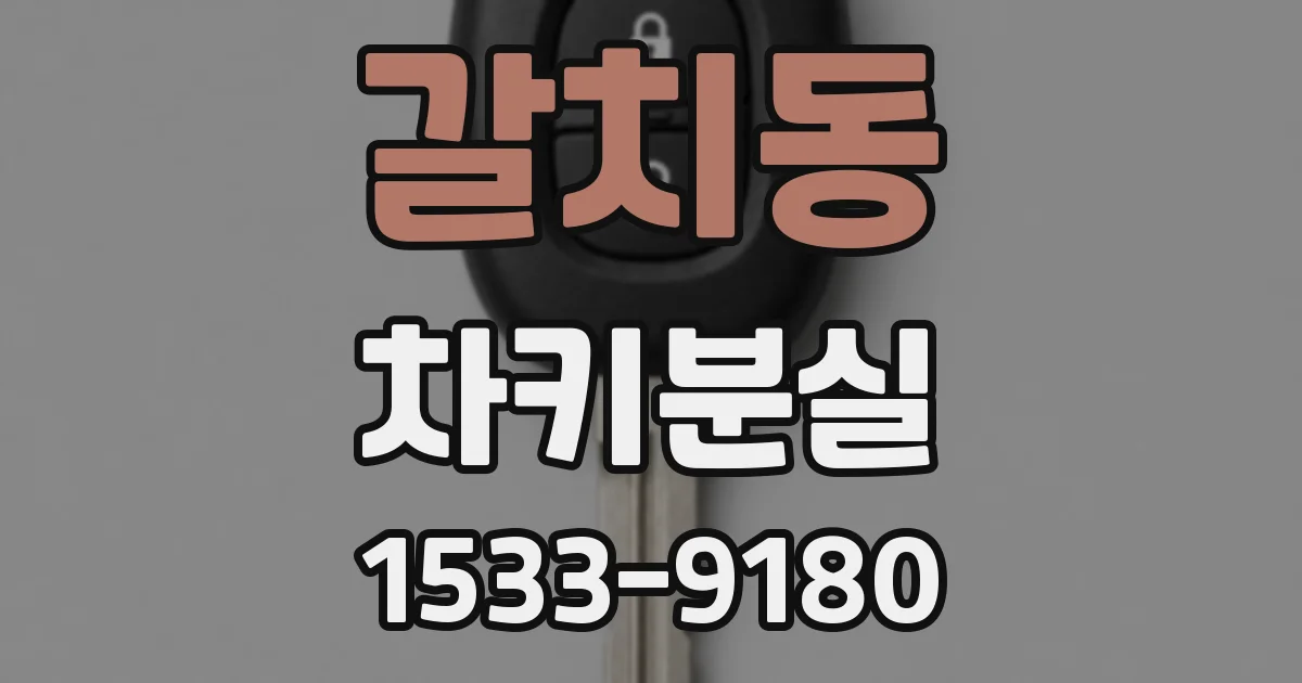 갈치동 차키분실
