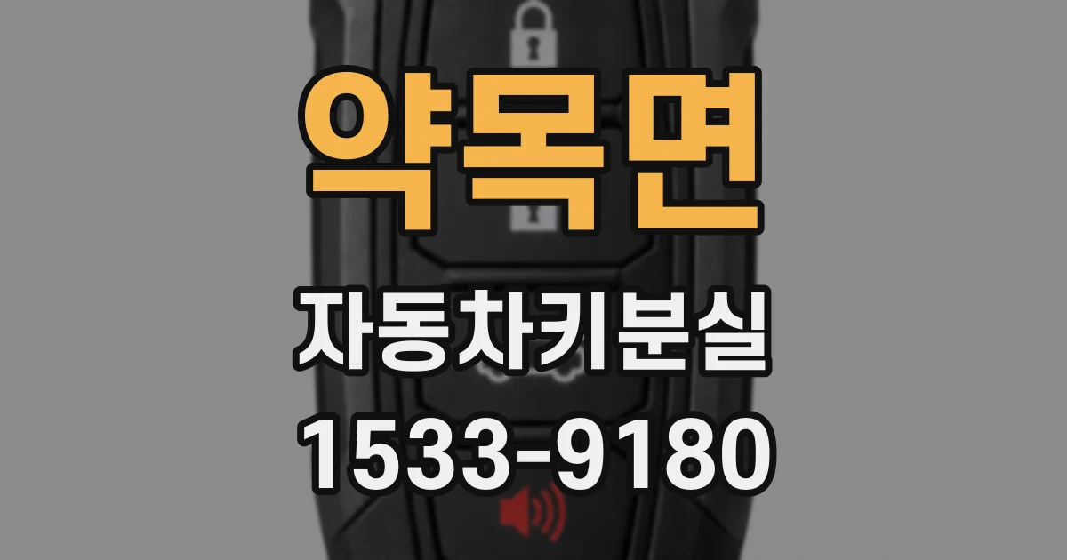 약목면 자동차키분실