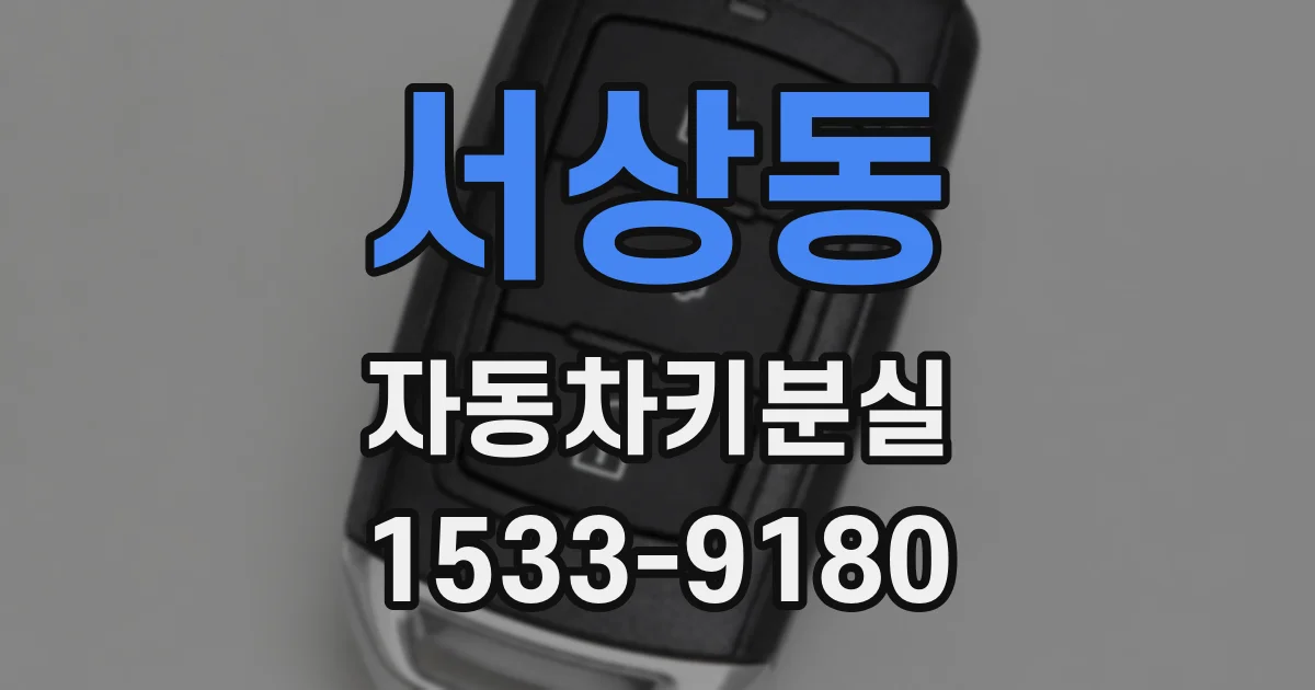 서상동 자동차키분실