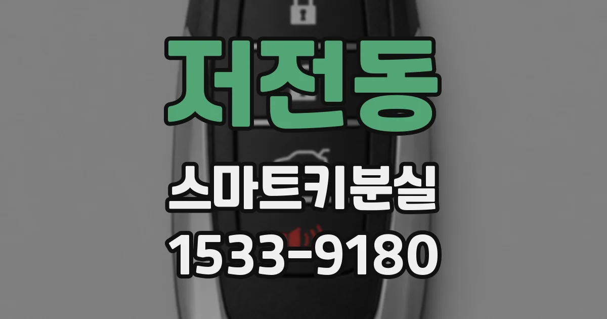 저전동 스마트키분실