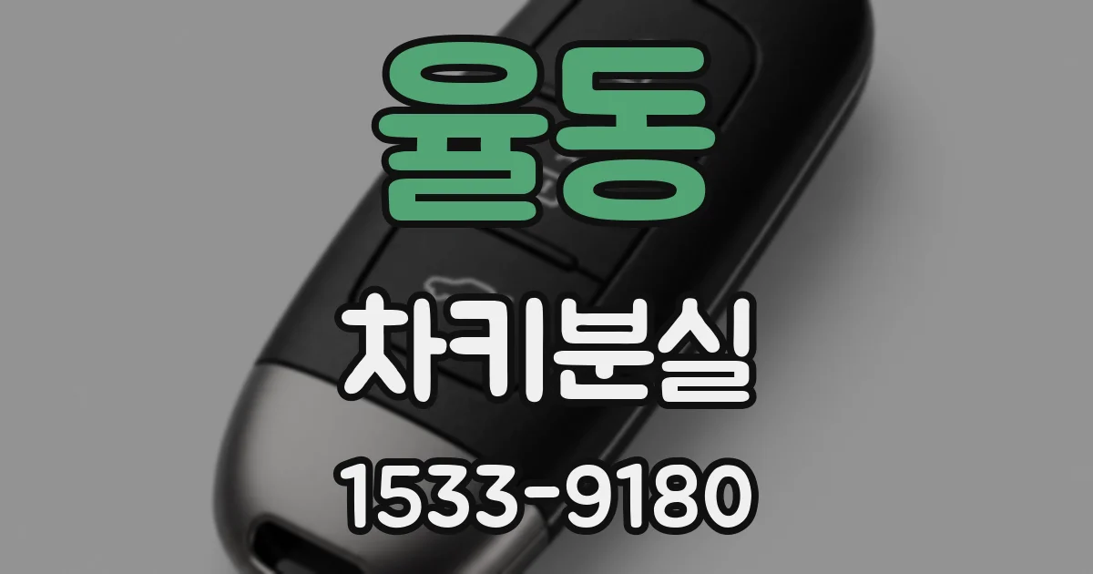 율동 차키분실