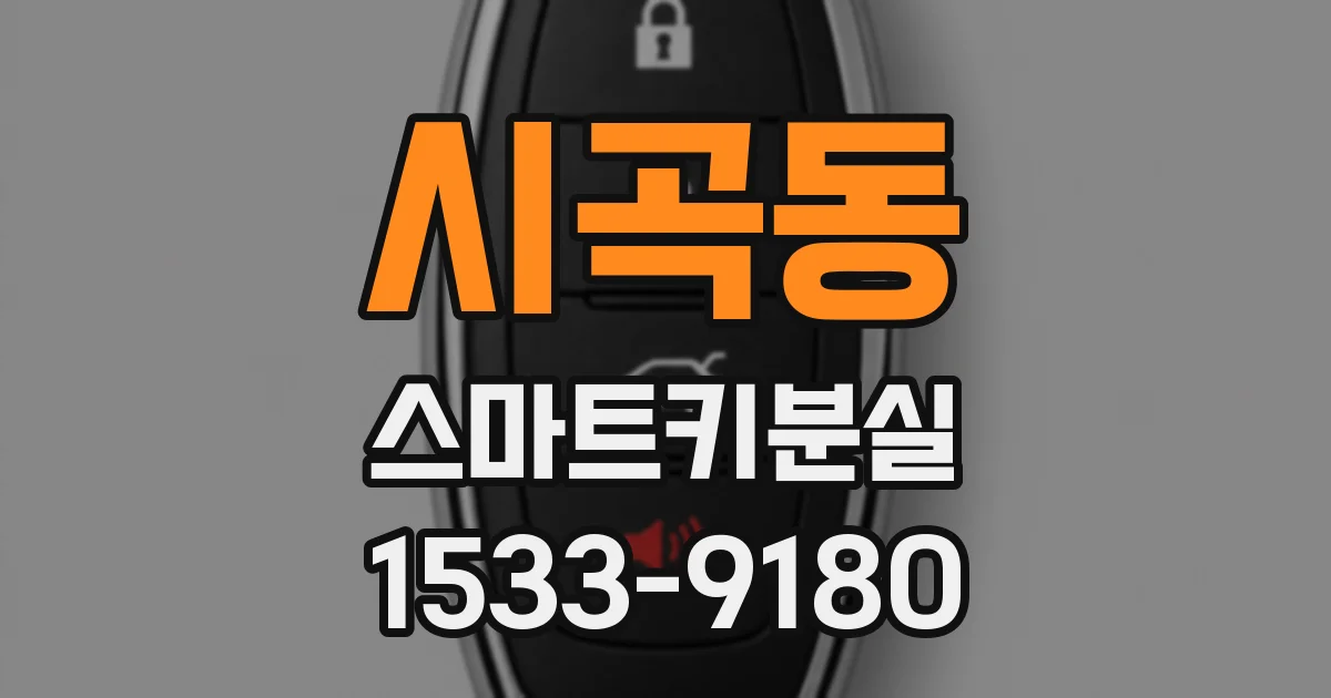 시곡동 스마트키분실