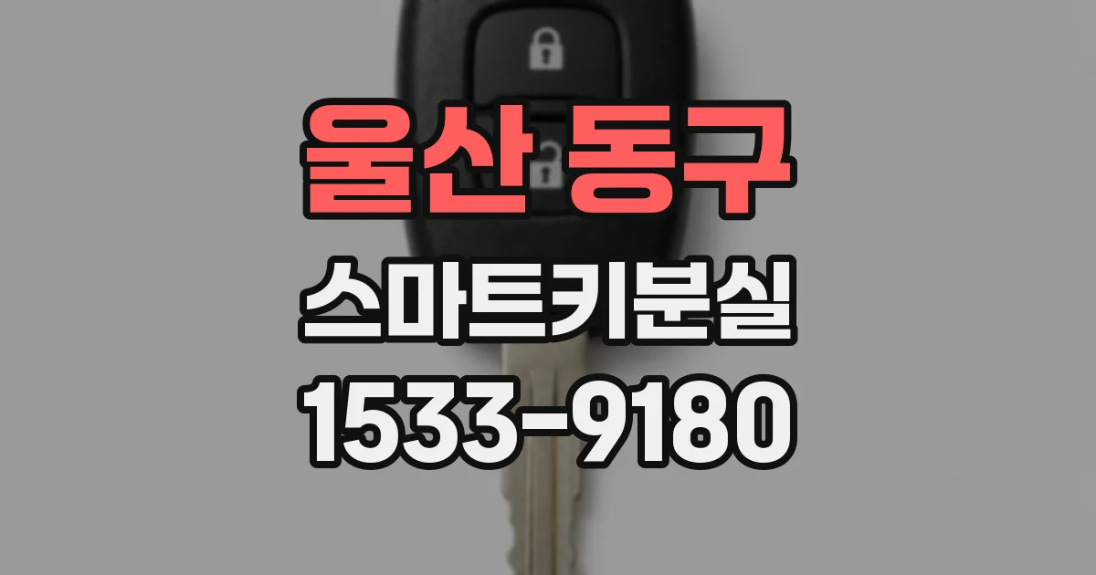 울산 동구 스마트키분실
