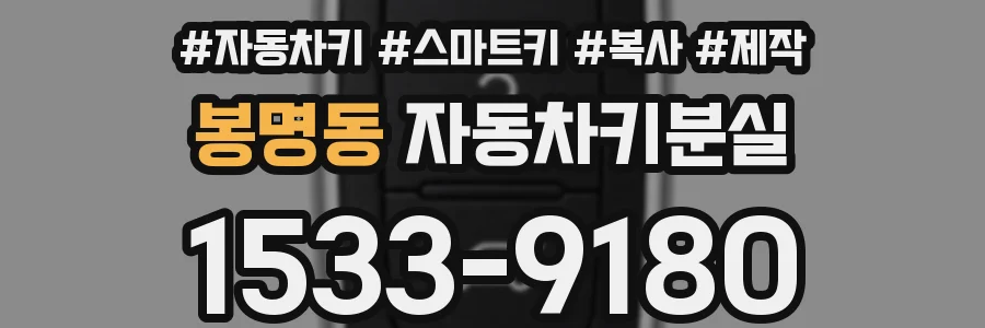 봉명동 자동차키분실