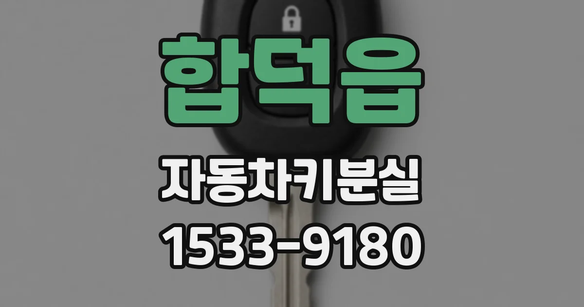 합덕읍 자동차키분실