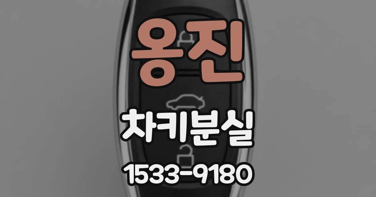 옹진 차키분실