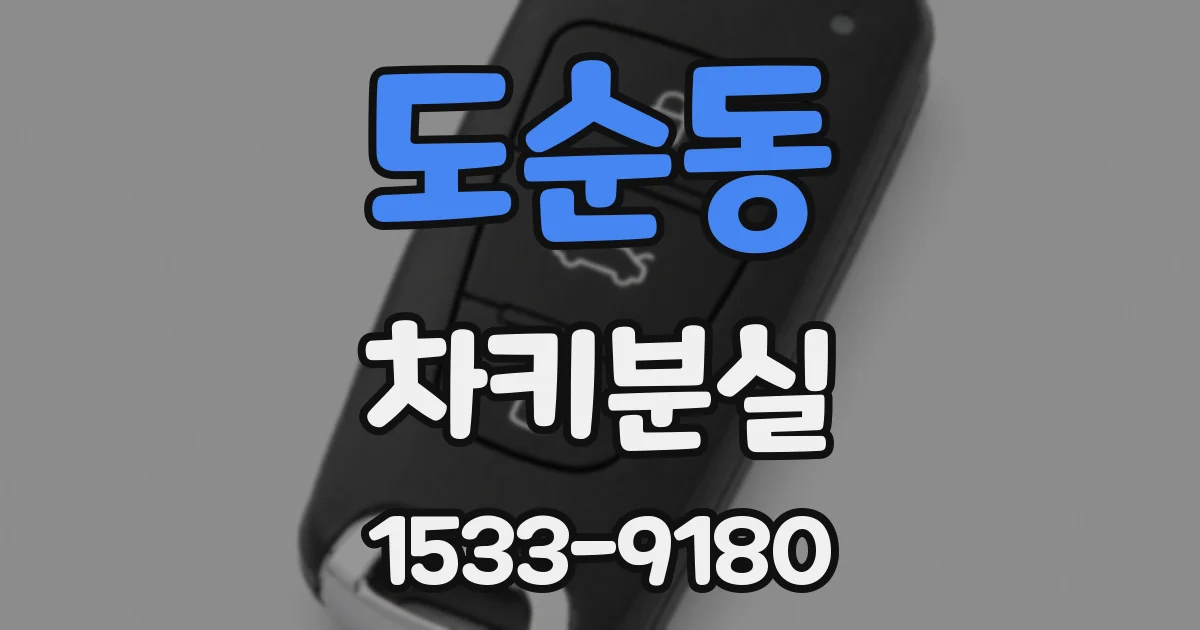 도순동 차키분실