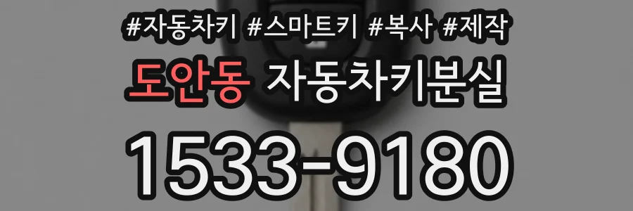 도안동 자동차키분실