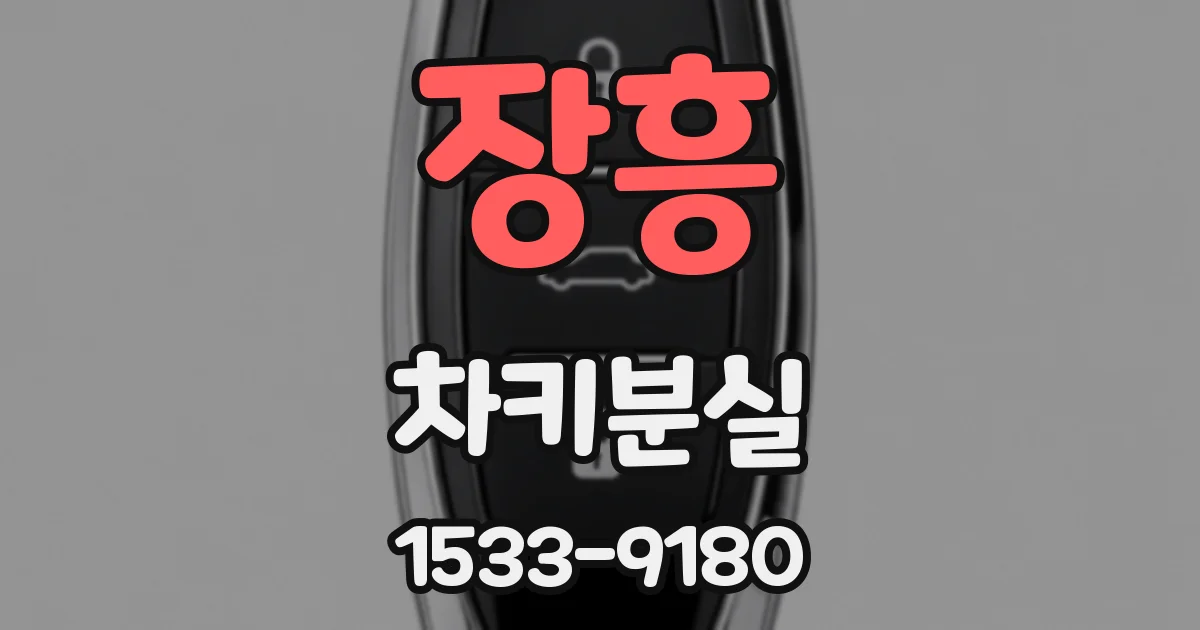 장흥 차키분실