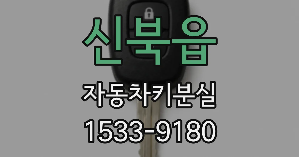 신북읍 자동차키분실