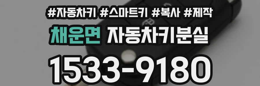 채운면 자동차키분실