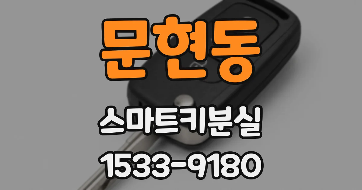 문현동 스마트키분실